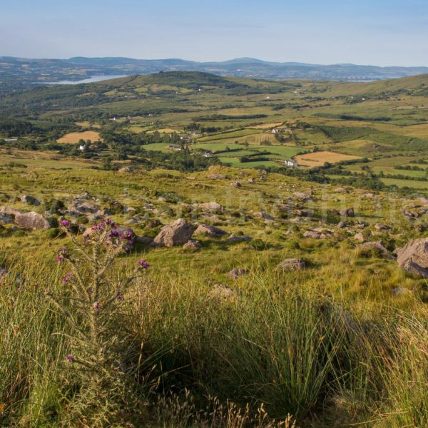 Coomhola Valley